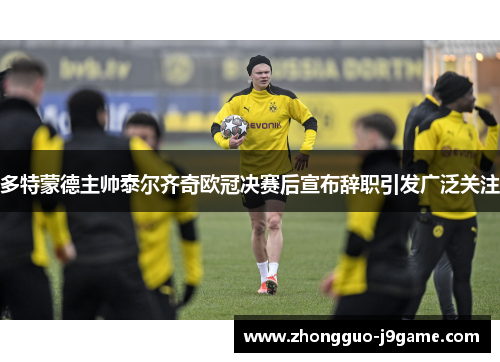 多特蒙德主帅泰尔齐奇欧冠决赛后宣布辞职引发广泛关注