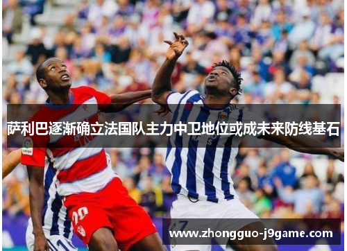 萨利巴逐渐确立法国队主力中卫地位或成未来防线基石