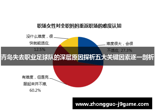 青岛失去职业足球队的深层原因探析五大关键因素逐一剖析 青岛失去职业足球队的深层原因探析五大关键因素逐一剖析
