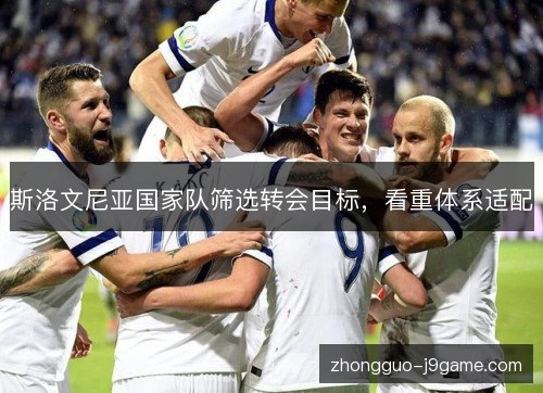 斯洛文尼亚国家队筛选转会目标，看重体系适配